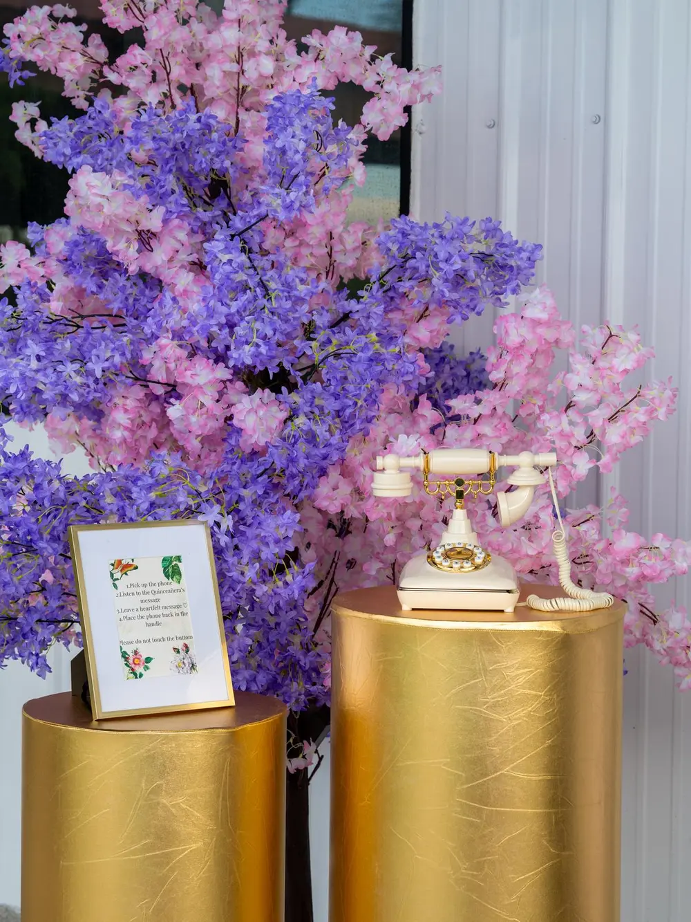 Gretter: Celebrating Her 15th - Image 10