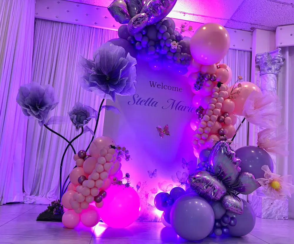 Little Dreams & Butterflies: Stella Marie - Image 1