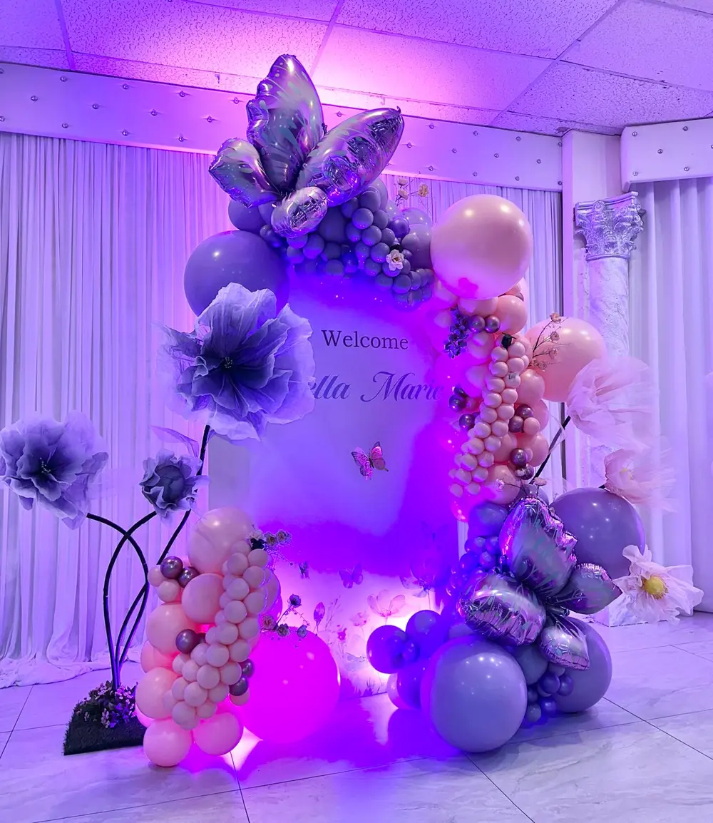 Little Dreams & Butterflies: Stella Marie - Image 2