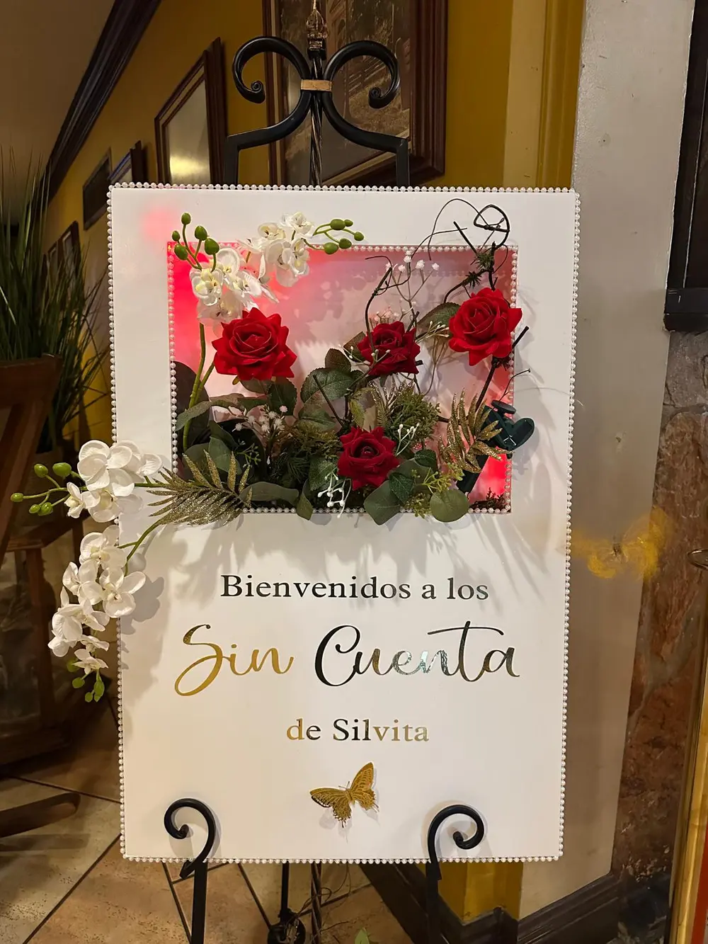 Silvita: A Birthday Beyond Counting - Image 1