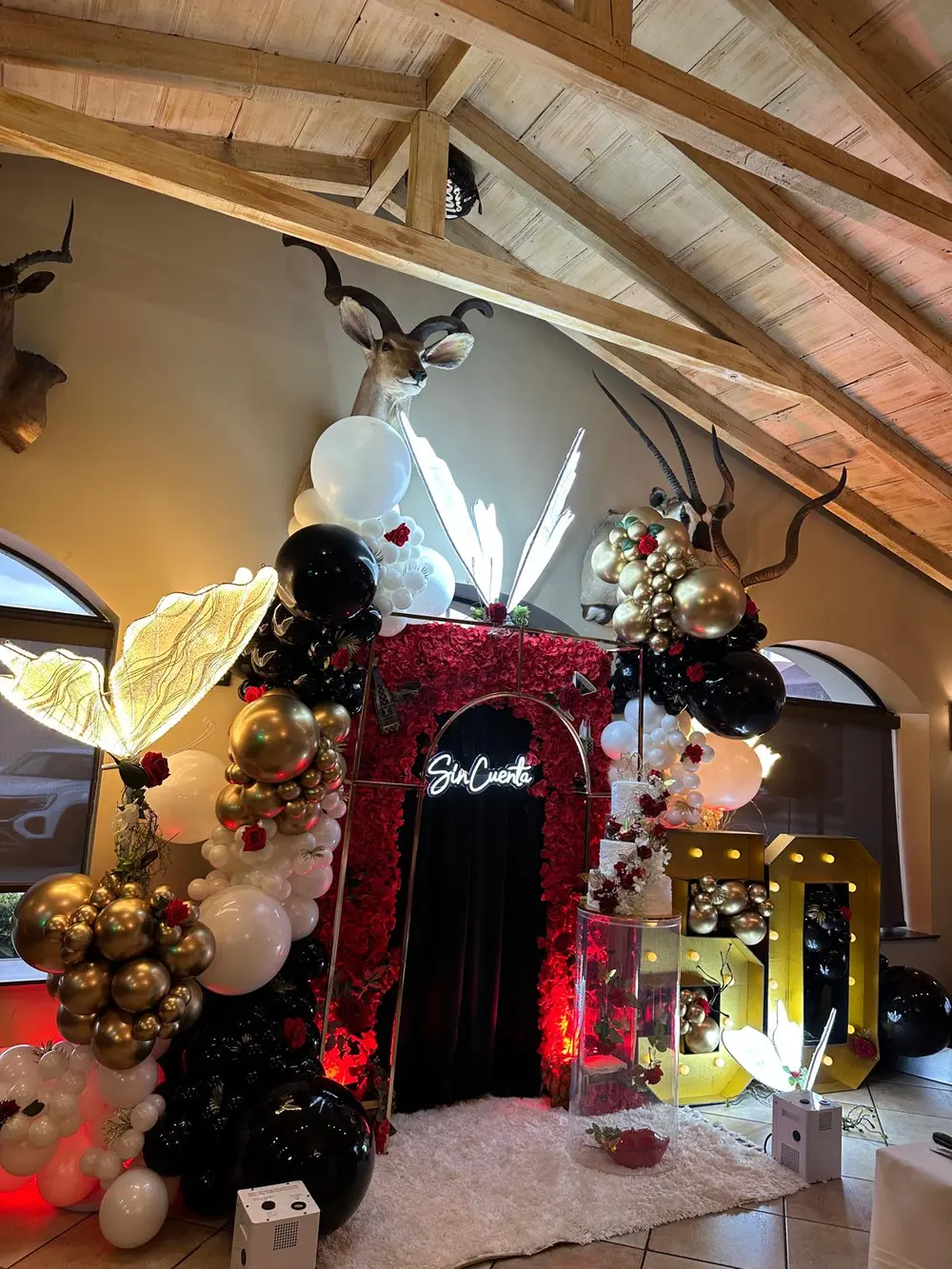 Silvita: A Birthday Beyond Counting - Image 5