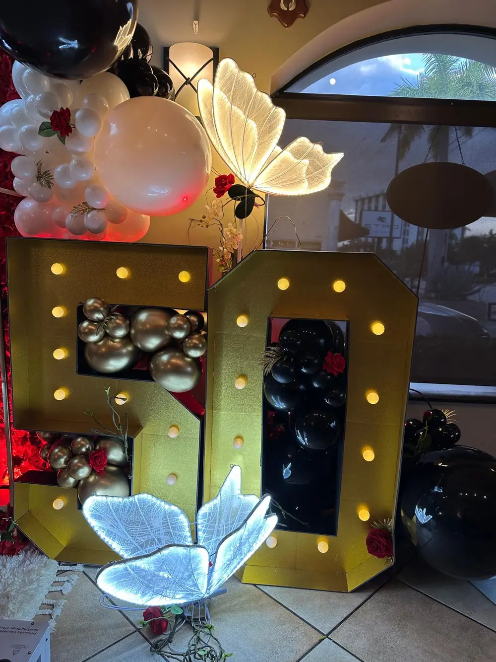 Silvita: A Birthday Beyond Counting - Image 8